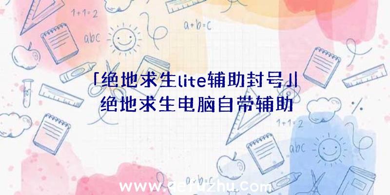 「绝地求生lite辅助封号」|绝地求生电脑自带辅助